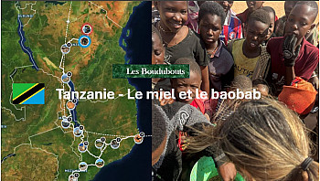 TvLocale des Acteurs Locaux en Tanzanie - Les Boudubouts découvre le miel et le baobab