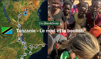 TvLocale des Acteurs Locaux en Tanzanie - Les Boudubouts découvre le miel et le baobab
