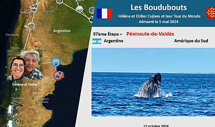 97ème Étape des Boudubouts en ARGENTINE - Mythique Péninsule Valdès avec sa Faune marine extraordinaire